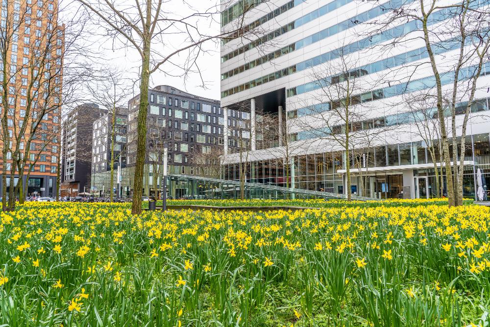 How Rents Are Set in Low-Income Apartments (Rent Limits, Utility Allowances, and Why Two People Pay Different Amounts)